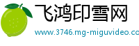 飞鸿印雪网